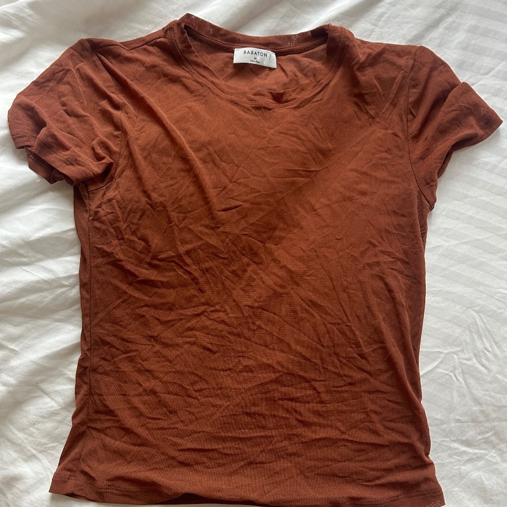 Sheer Aritzia Babaton Top